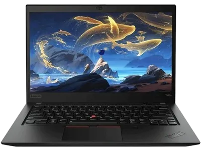 Lenovo ThinkPad T495 Touch 14"